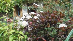 B&B / Chambres d'hotes Domaine de Sault : photos des chambres