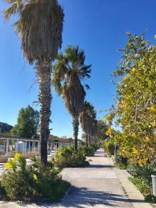 Le Domus lovely apartment img67