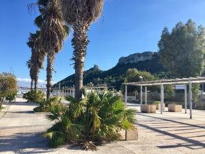 Le Domus lovely apartment img71