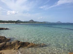 Le Domus lovely apartment img61