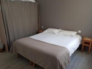 Hotels Logis Hotel Le Relais : Chambre Simple