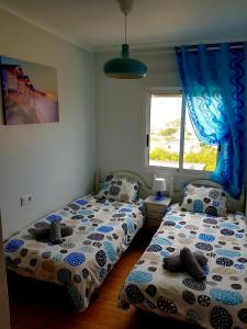 Apartament Veneziola