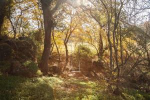 Villa & Spasuitebo Roma