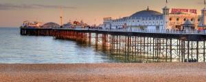 Studio room in Cosy Studio in the heart of trendy Kemptown