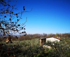 Agriturismo Bosco Magico