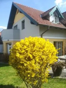 Vronis-Apartment - Ardagger Markt