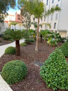 Appartements Studio les pieds dans l'eau Plage du Trottel : photos des chambres