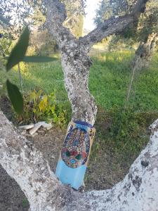 Turiya l'angolo del ritrovo Messinia Greece