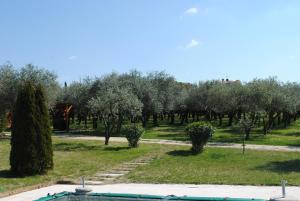 AGRITURISMO MELOGRANO DORO