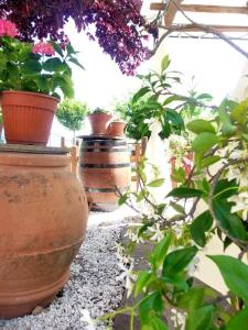 Affittacamere Pergolato di Sotto