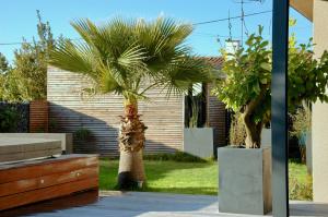 B&B / Chambres d'hotes Les cocons du bassin - cocon 