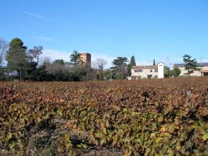 Maisons de vacances Mas Miraflors : photos des chambres