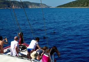 Lidromi Home (Blue) Alonissos Greece