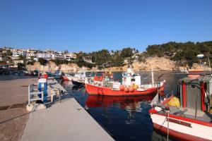 Lidromi Home (Blue) Alonissos Greece