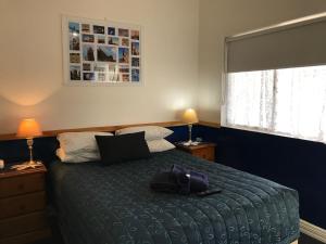The Lodge Outback Motel