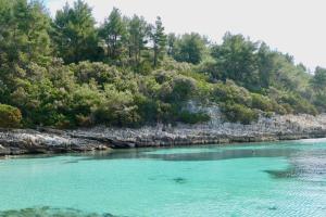 Apartments MT Residence