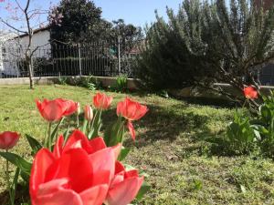Home di Federico