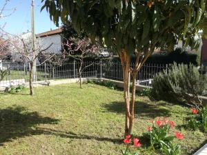 Home di Federico