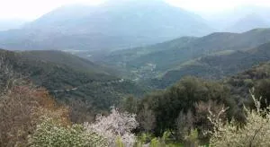 A Stella, une cabane de berger pour une expérience insolite - Alando