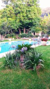 Katerinas apartments