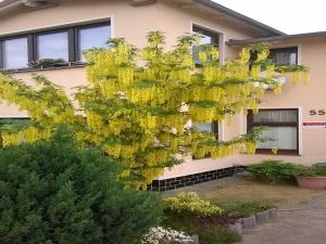 Ferienwohnung Gaertner