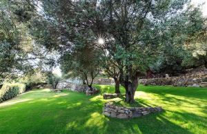 Villas Domaine Valle Doniche : photos des chambres