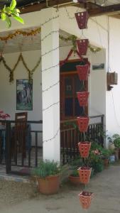 Jaye Homestay