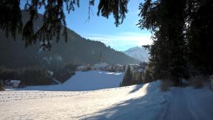 obrázek - Chalet Hotel Diamant