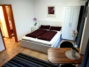 Wohlfühl-Apartment Bad Kissingen II - 巴特基辛根 Wohlfühl-Apartment Bad Kissingen II - 巴特基辛根