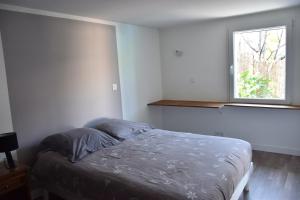 Appartements 7 Avenue de Provence : photos des chambres