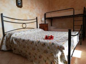 B&B Pivi