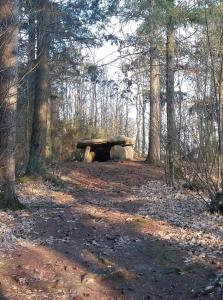 Maisons d'hotes Ty Flour Di Lys : photos des chambres