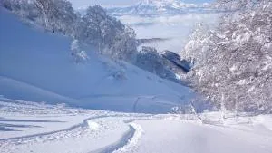 Nozawa Dream Central - Nozawa Onsen