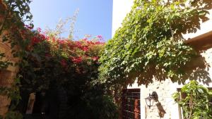ROTOKRITOS Rethymno Greece