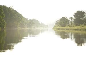 Morinda Villa and Resto