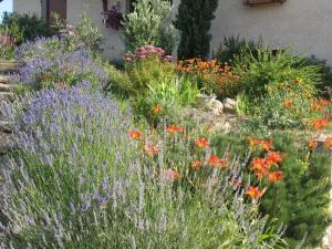 B&B / Chambres d'hotes Les Glycines - Domaine Gilles Coperet : photos des chambres