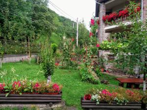 PENSIUNEA BORDÁS PANZIÓ