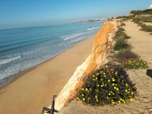 Apartamento Falesia 6 B