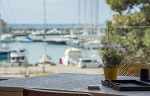 Luxury Apartments Novigrad