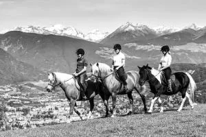 Widmannhof - Urlaub auf dem Biobauernhof - Albes