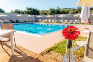 Charming and Comfy House Chania Greece