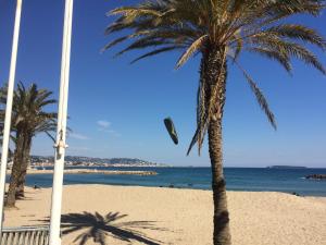 Appartements Cannes Terrace Beach Front & Sea view : photos des chambres