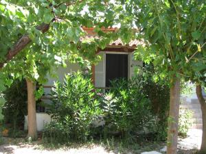 NIKOS Ilia Greece