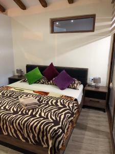 Apartments Antigona Old Town