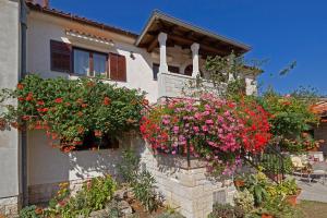 Korsa in Sveti LovrecIstrien