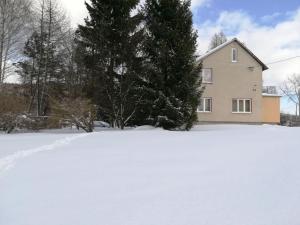 Apartament Pod Modrzewiami