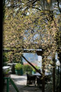 Traditional home with garden in Portaria,Pelion Pelion Greece