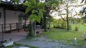 Rose Canine B&B - Borella