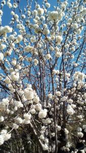 Appart'hotels Domaine du Mas Foucray : photos des chambres