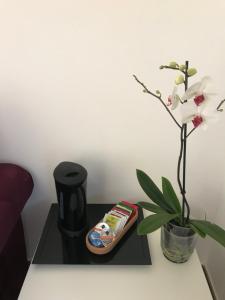 Villa Greta Hotel Rooms & Suites